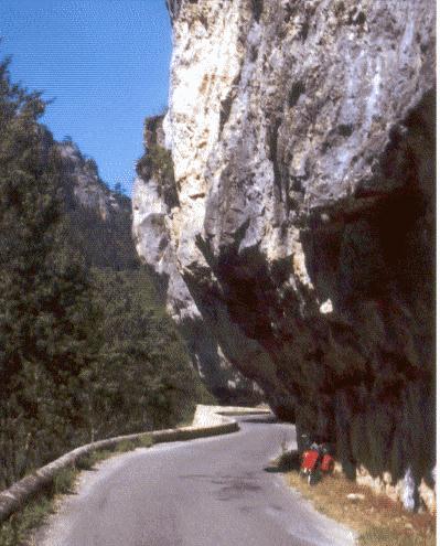 gorgelot.jpg (43821 bytes)